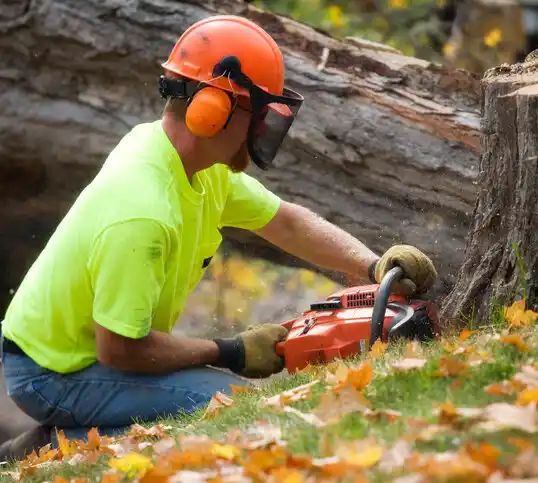 tree services Leakesville